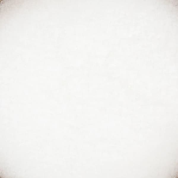 Suolakurkku 100g