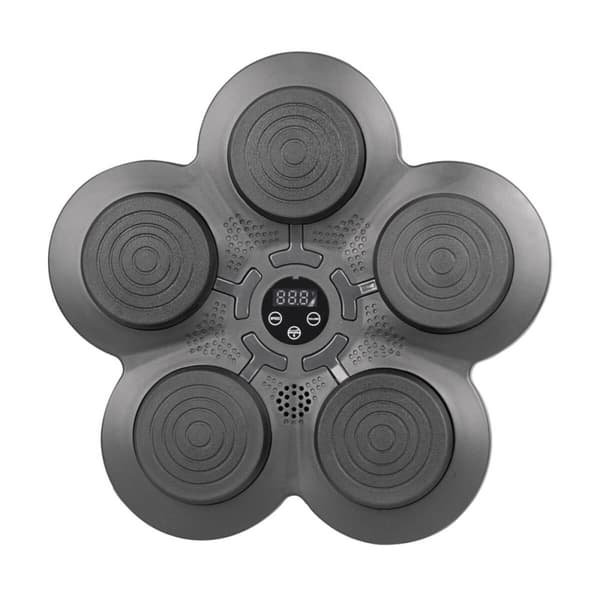 Electronic Punching Target, Smartpunch, inSPORTline
