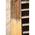 Miniatyrbild 5 av 5: Scheppach Renovator och Nylon Surperal Bross