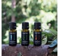 Miniatyrbillede 3 af 4: Sauna duft RENTO Eucalyptus 10ml