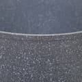 Miniatyrbild 3 av 4: Smidd aluminiumstekpanna "Cuission Nature" 20 cm