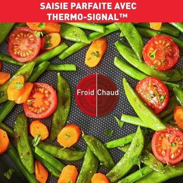 TEFAL INGENIO Easy Plus Sauté Pan 24 cm + Lock + Handtag, Non-induktion, Non-stick beläggning, Made in France L1509002