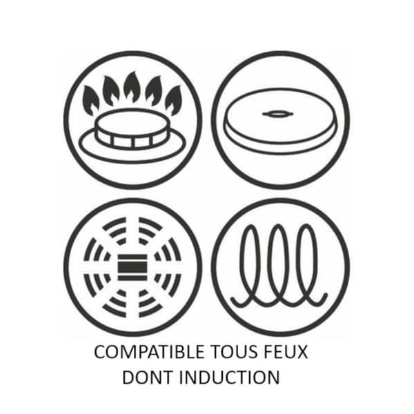 TEFAL G2550502 Stekpanna 26 cm OBEGRÄNSAD Alla värmekällor inklusive induktion - Tillverkad i Frankrike - Svart