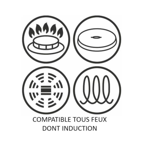 TEFAL G2550402 Stekpanna 24 cm OBEGRÄNSAD Alla värmekällor inklusive induktion - Tillverkad i Frankrike - Svart