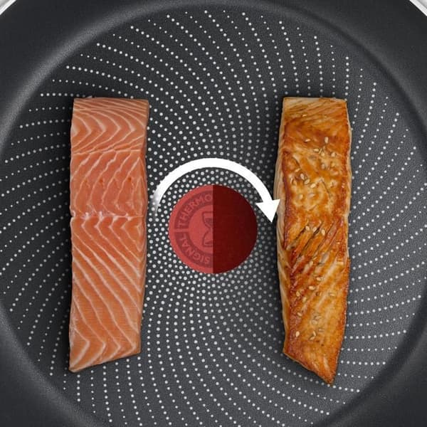 Tefal Stekpanna 20 cm Délicieuse B8180255