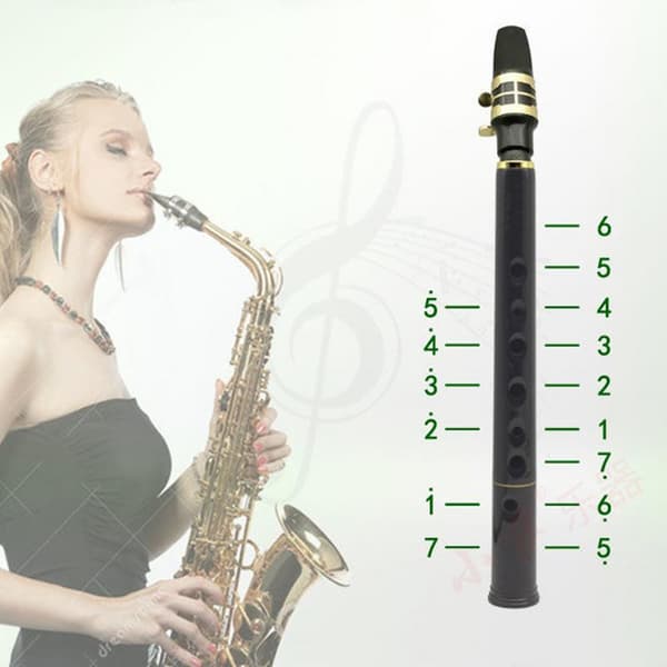 Matkasoitin Sax, täydellinen aloittelijoille, kevyt kantolaukku, sisältää soittopillereitä