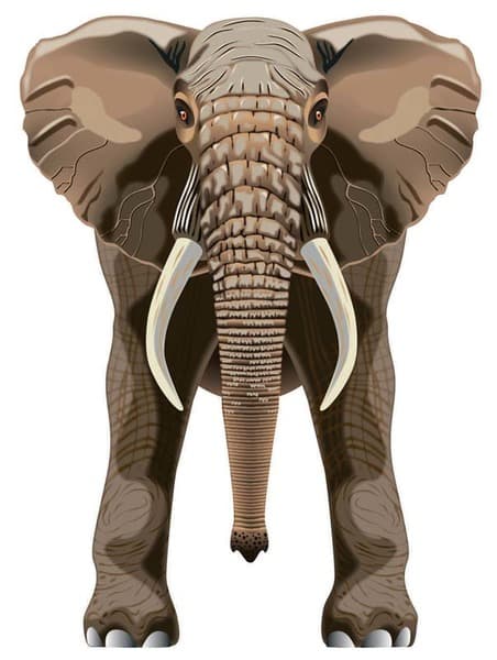BRAINSTORM-leija - WNS SkyZoo 40x30" Nylon Elephant