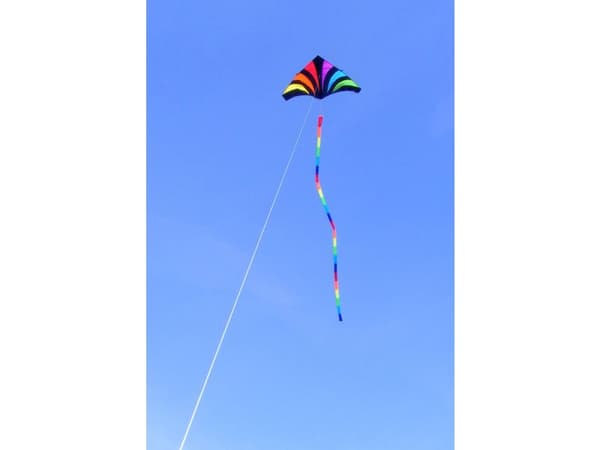 SKYDOG kite - Rainbow Tube 24" - HALE
