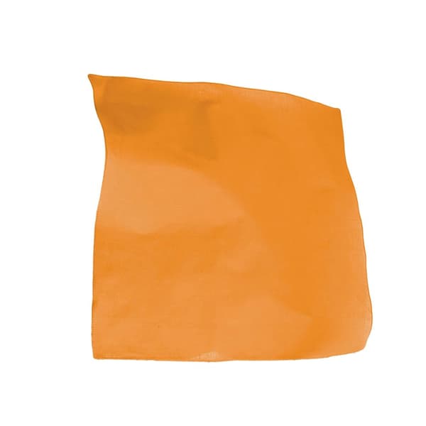 Atlantis Goal Bandana
