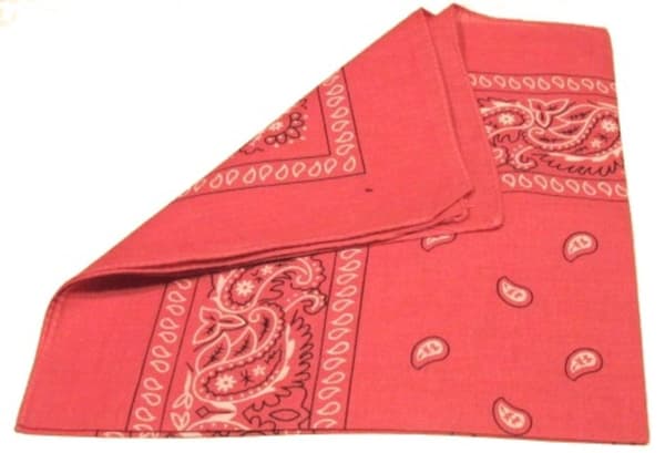 Paisley Bandana i flere farver