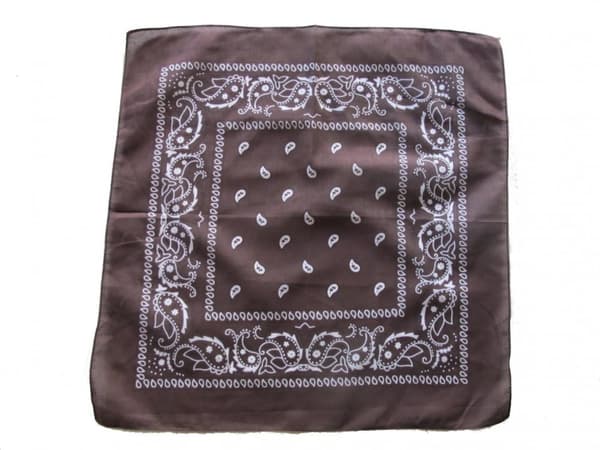 Paisley Bandana i flere farver