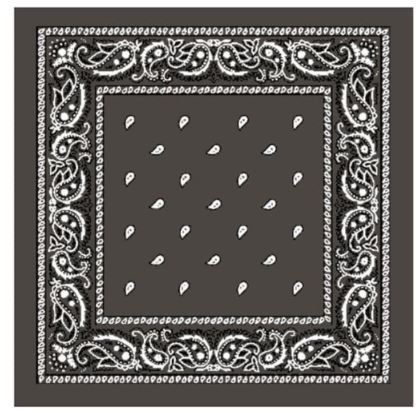 Paisley Bandana i flere farver