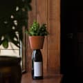Miniatyrbilde 1 av 4: Bottle Planter Kikkerland