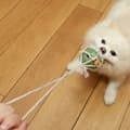 Miniatyrbilde 2 av 3: Pufferfish Tug Toy Kobe