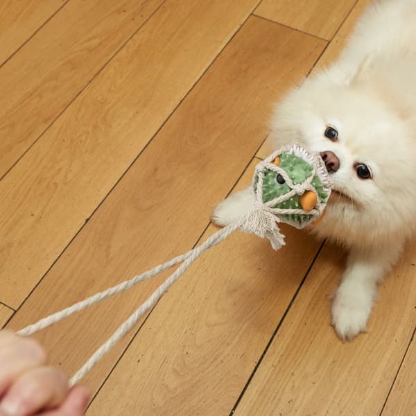 Pufferfish Tug Toy Kobe