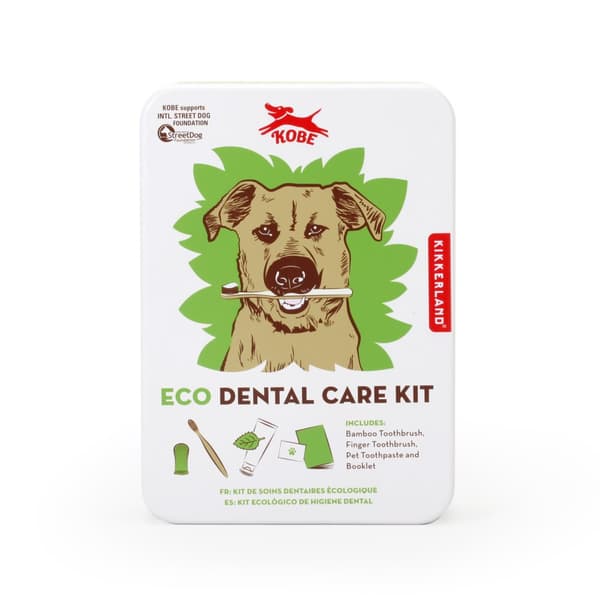 Eco Dental Care Kit Kobe