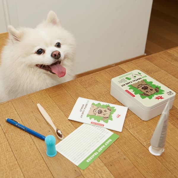 Eco Dental Care Kit Kobe