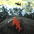 Miniatyrbilde 2 av 3: Floating Fish Toy Kobe