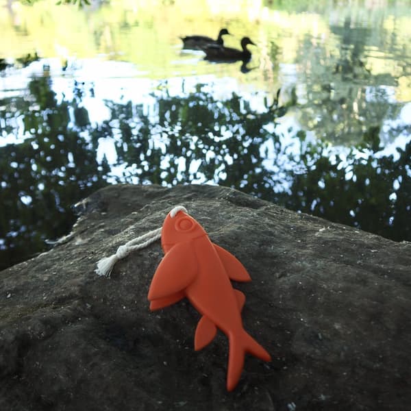 Floating Fish Toy Kobe