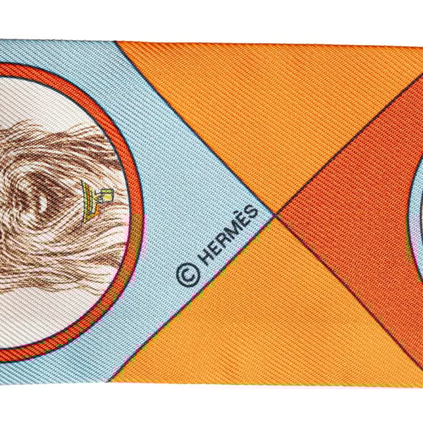 Pre-owned Hermès Colliers Et Chiens Twilly Silk Scarf Orange