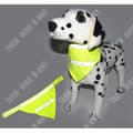 Miniatyrbild 2 av 3: TD® Bandana Hundhalsduk Fluorescerande Gul Husdjur Lysande Säkerhet Vattentät Kläder Solid Tillbehör Haklapp
