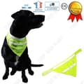 Miniatyrbild 1 av 3: TD® Bandana Hundhalsduk Fluorescerande Gul Husdjur Lysande Säkerhet Vattentät Kläder Solid Tillbehör Haklapp
