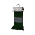 Miniatyrbild 1 av 3: AAA Merchandise - Harry Potter - Slytherin Echarpe med Tjocka Ränder (Hängare) 160 cm