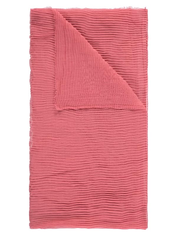 Damhalsduk stor rosa Passigatti