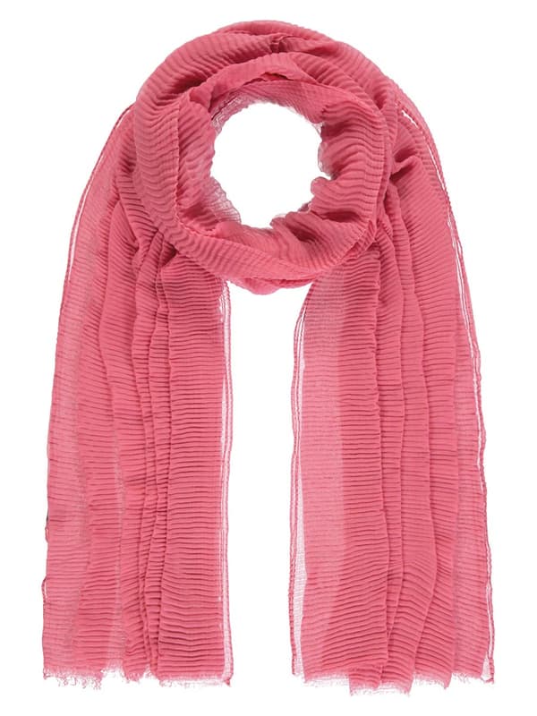 Damhalsduk stor rosa Passigatti