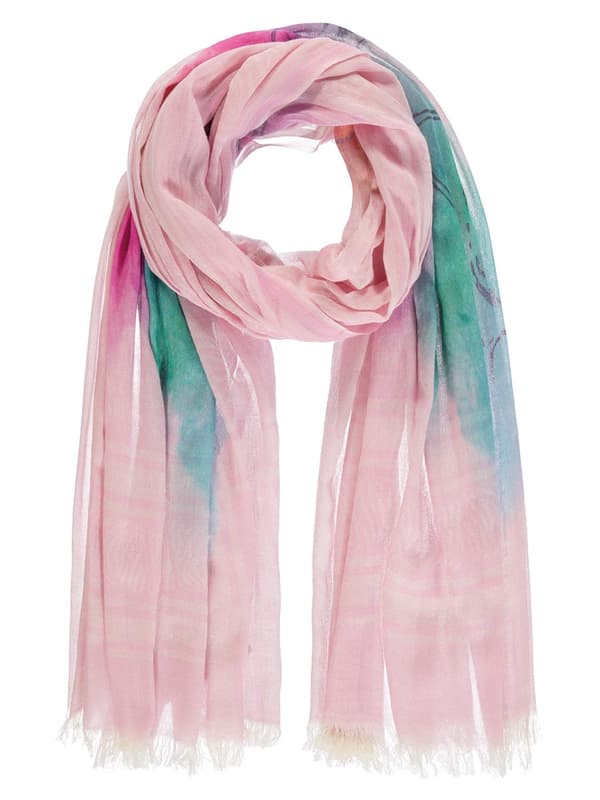 Damhalsduk flamingo rosa Passigatti