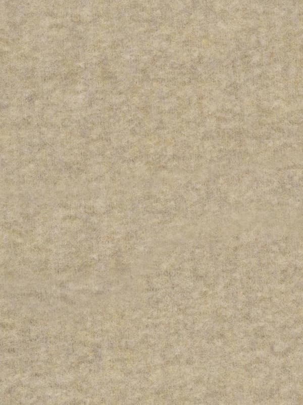 Naisten hapsuhuivi beige Passigatti