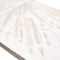 Miniatyrbild 2 av 10: Pre-owned Hermès Please Hold The Line Silk Scarf White