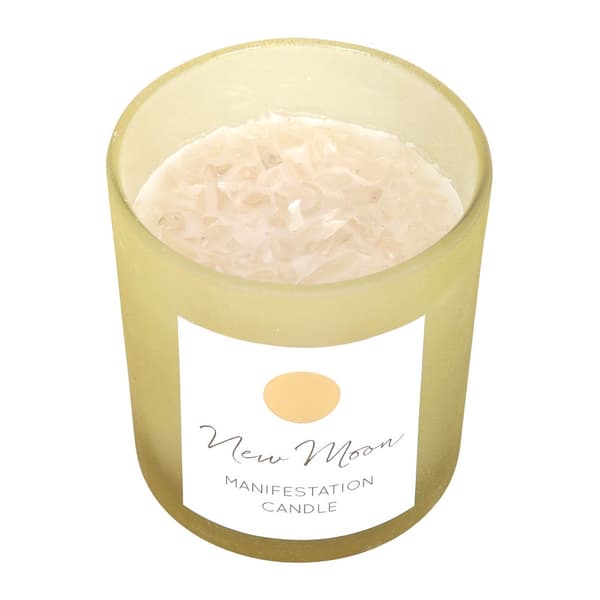 Something Different New Moon Wild Orange Scented Candle