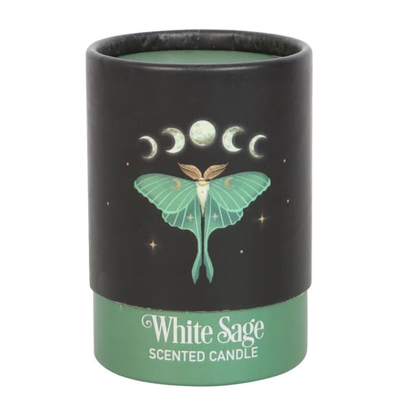 Something Different Luna Moth White Sage Scented Candle