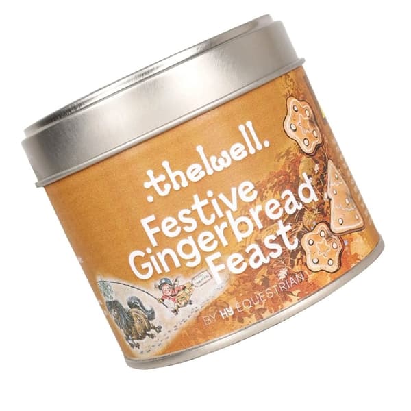 Hy Thelwell Collection Festive Gingerbread Feast Candle