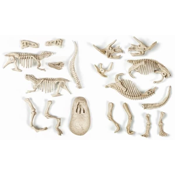 CLEMENTONI Archéo Ludic - T-Rex &amp; fosforescerande triceratops - Science &amp; Jeu