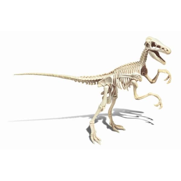 CLEMENTONI Science &amp; Game - Archéo Ludic Vélociraptor - Vetenskapligt spel