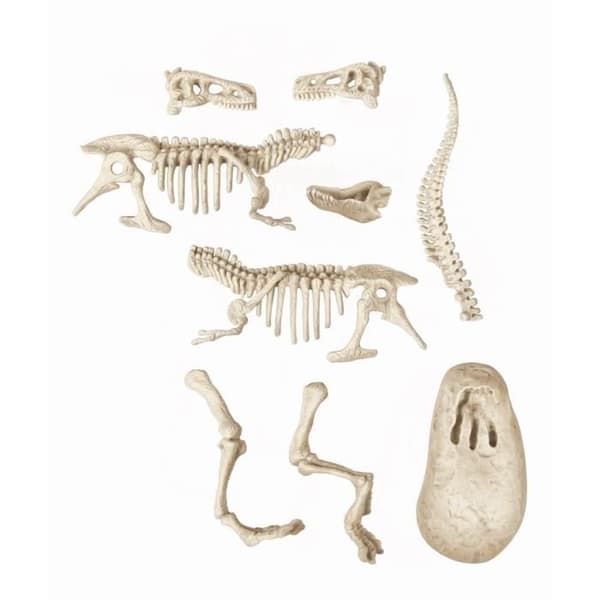 CLEMENTONI Science &amp; Game - Archéo Ludic Vélociraptor - Vetenskapligt spel
