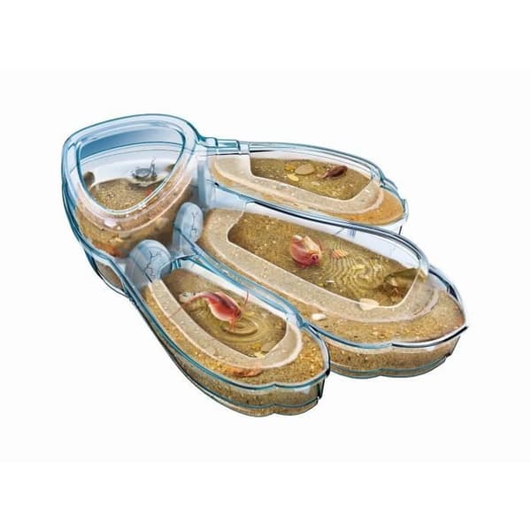 Clementoni - Vetenskap & Spel - Triops