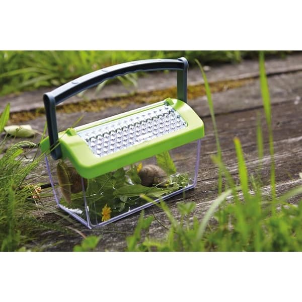 Insektslåda - HABA - Fransk version - För observation och uppfödning av insekter - Grön - För barn