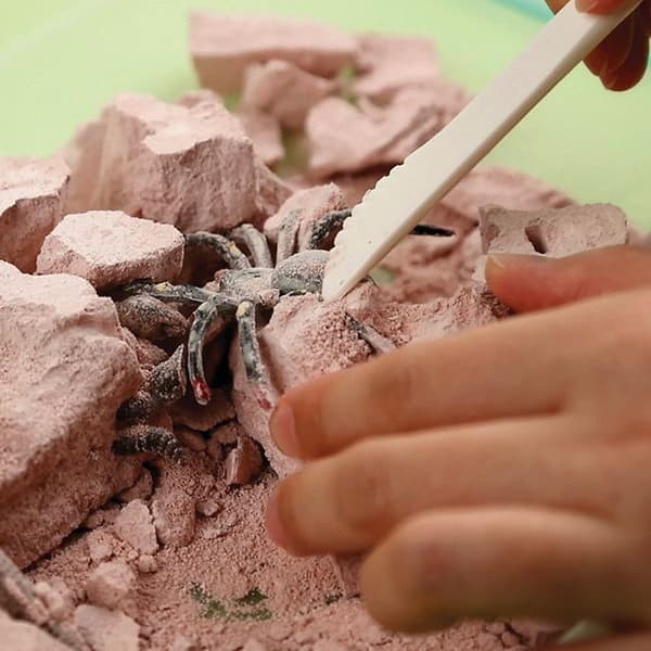 Science Discovery Kit - Upptäck insekter