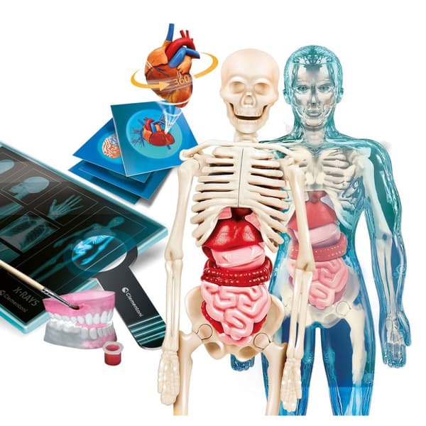 Clementoni Super Anatomy Vetenskapskit