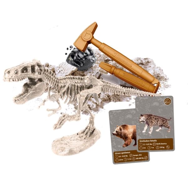 History Of Life On Earth Science Kit