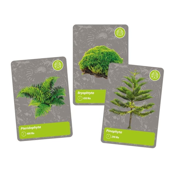 History Of Life On Earth Science Kit