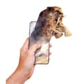 Miniatyrbilde 9 av 9: History Of Life On Earth Science Kit