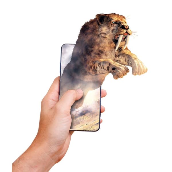 History Of Life On Earth Science Kit
