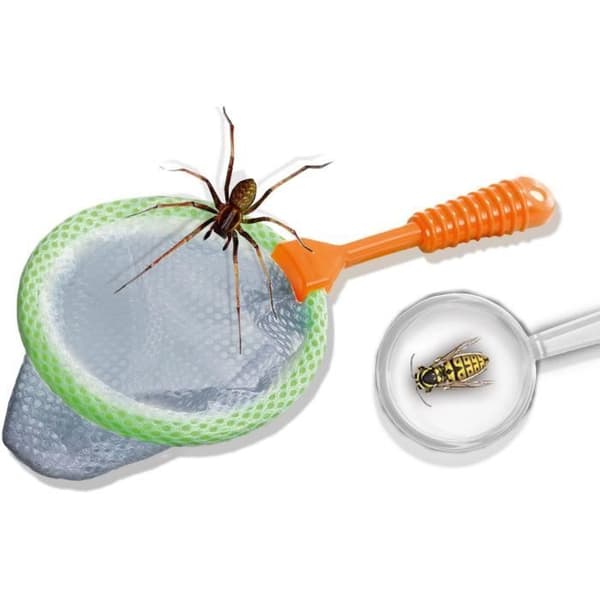 SES CREATIVE - Insektsutforskare