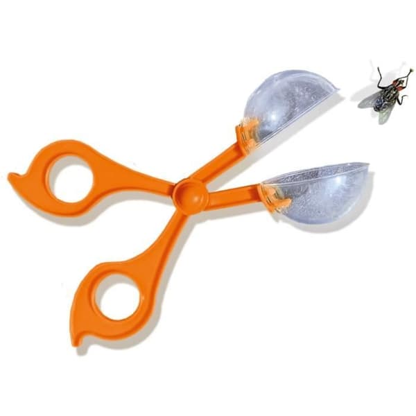 SES CREATIVE - Insektsutforskare