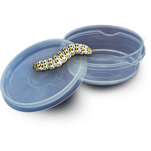 SES CREATIVE - Insektsutforskare