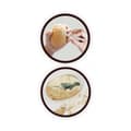 Miniatyrbild 6 av 6: Dino Egg Maxi Pack Buki Box - 12 dinosaurier - Utgrävningsverktyg - Bricka - Affisch